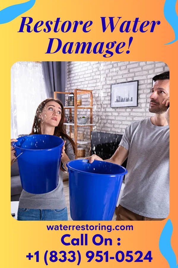water restoration Priority Damage Restoration Partners Cloverleaf