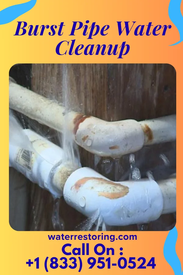 Burst Pipe Water Cleanup in Cloverleaf, TX