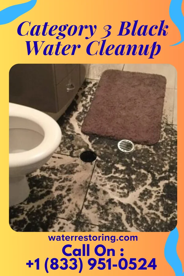 Category 3 Black Water Cleanup in Cloverleaf, TX