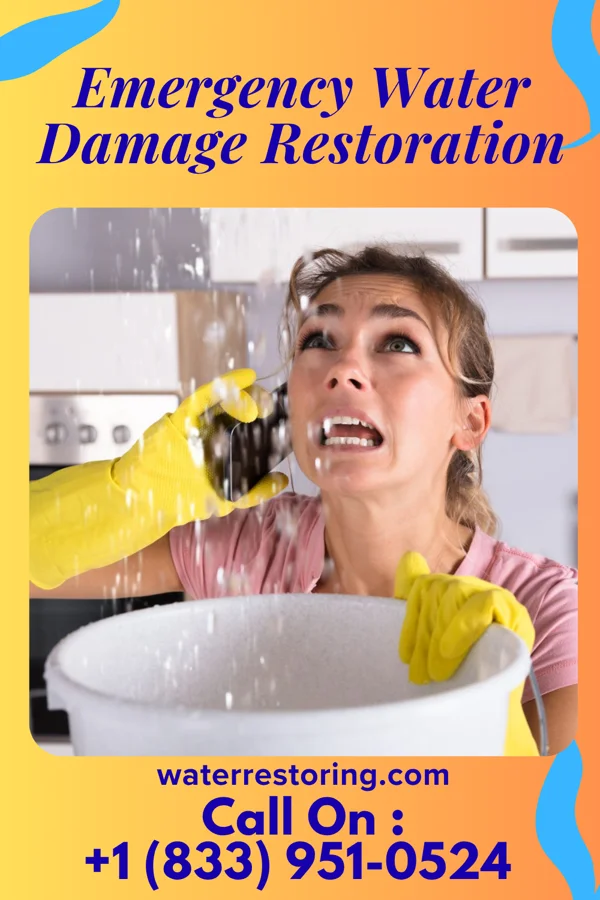 Emergency Water Damage Restoration in Cloverleaf, TX